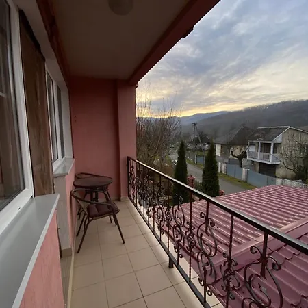 біля санаторію сонячне закарпаття * 波利亚纳