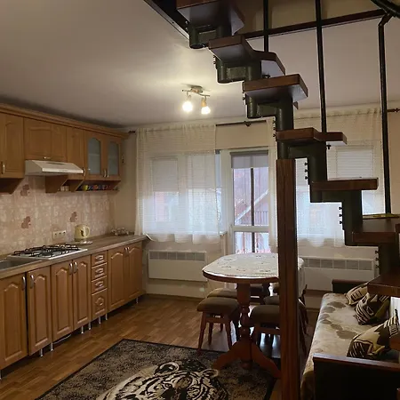 біля санаторію сонячне закарпаття 波利亚纳