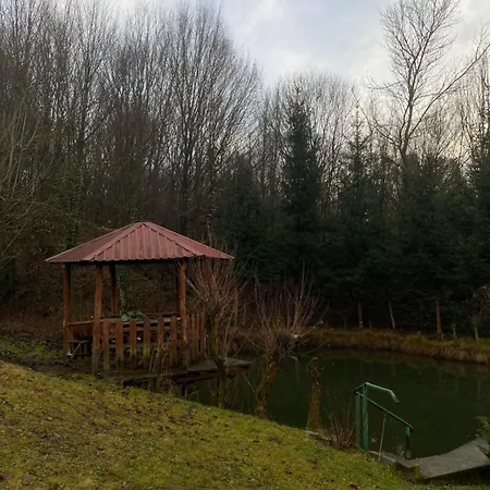 біля санаторію сонячне закарпаття