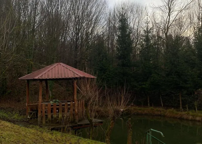 біля санаторію сонячне закарпаття