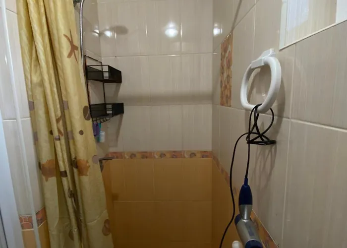 біля санаторію сонячне закарпаття