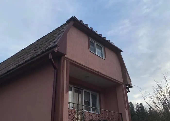 біля санаторію сонячне закарпаття 波利亚纳